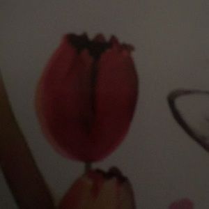 Meet your Posher, Daisy